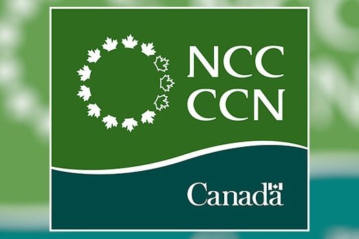 NCC Logo
