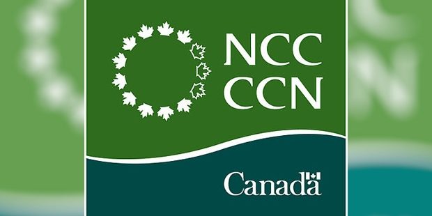 NCC Logo