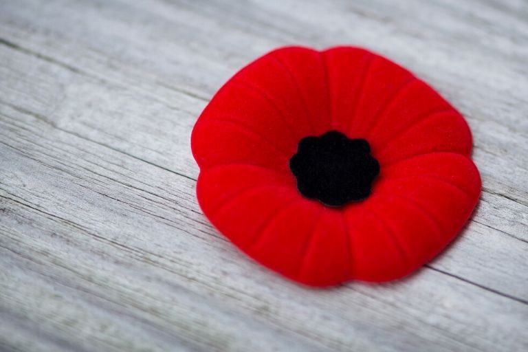 Remembrance Day Shedule Changes